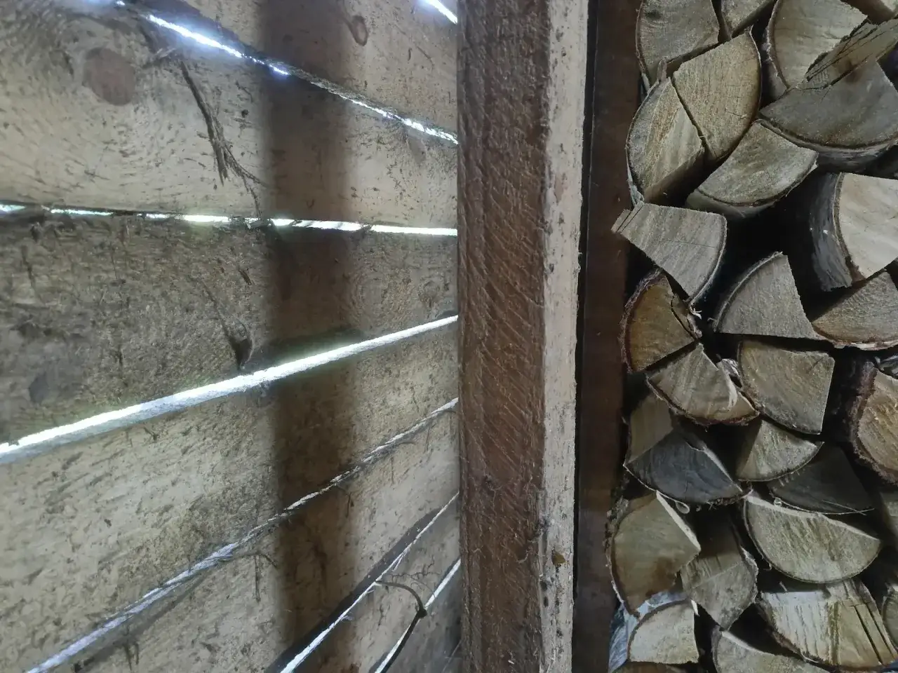 Drewno brzozowe ułożone w stos. Zastanawiasz się, ile czasu schnie brzoza? Zależy od warunków, ale ten stos wygląda na gotowy do użycia.