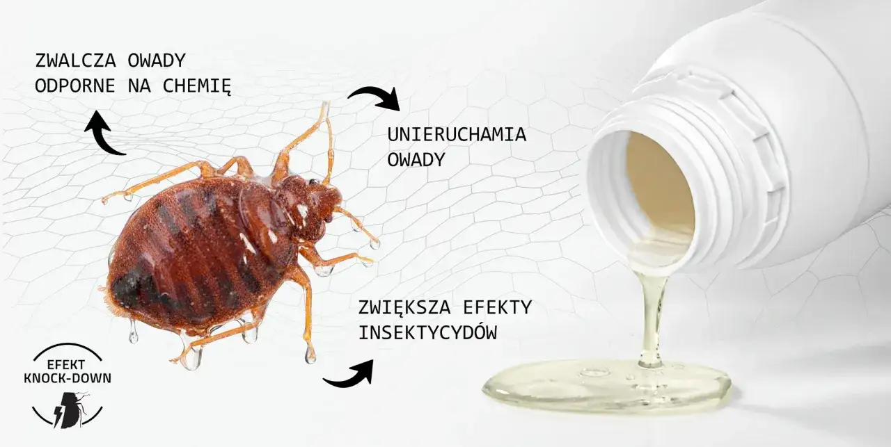 Płynny preparat, prawdopodobnie zawierający pyretroidy, wylewa się z białej butelki, działając na pluskwę domową.