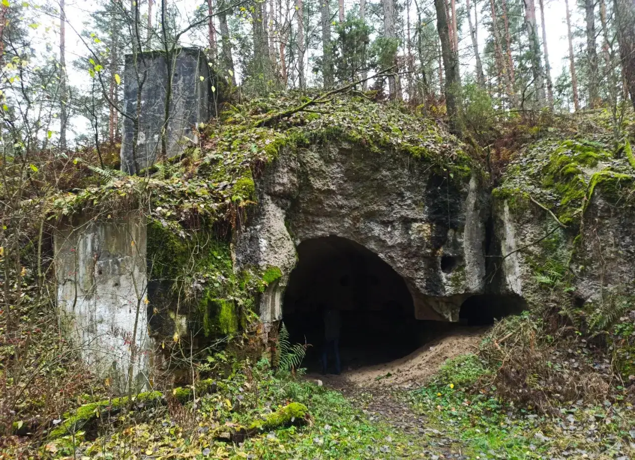Ruiny bunkra w lesie, porośnięte mchem i liśćmi. Wejście do podziemi w Osowcu, gdzie historia wciąż żyje.