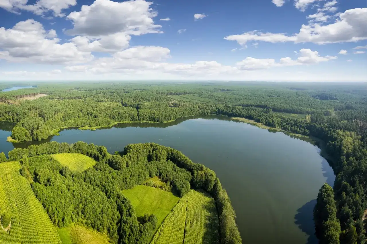 Piękne jezioro otoczone lasami i polami. Idealne miejsce, gdzie na wakacje w ciąży w Polsce, by odpocząć i cieszyć się naturą.