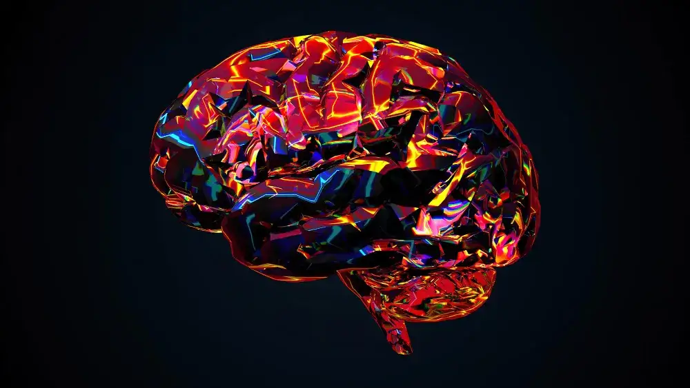 psylocybina wpływ na mózg DMN neuroplastyczność