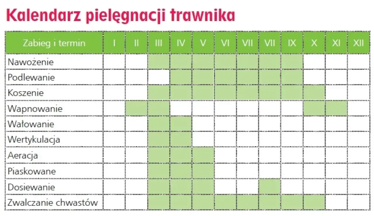 Aeracja trawnika narzędzia