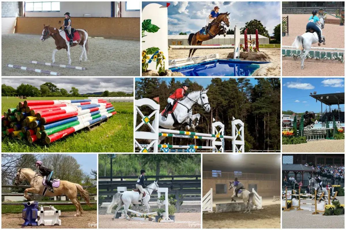 Des cavaliers et leurs chevaux s'entraînent et concourent dans diverses épreuves d'obstacles. Ratina Z, une jument de saut d'obstacles, est mise en avant.