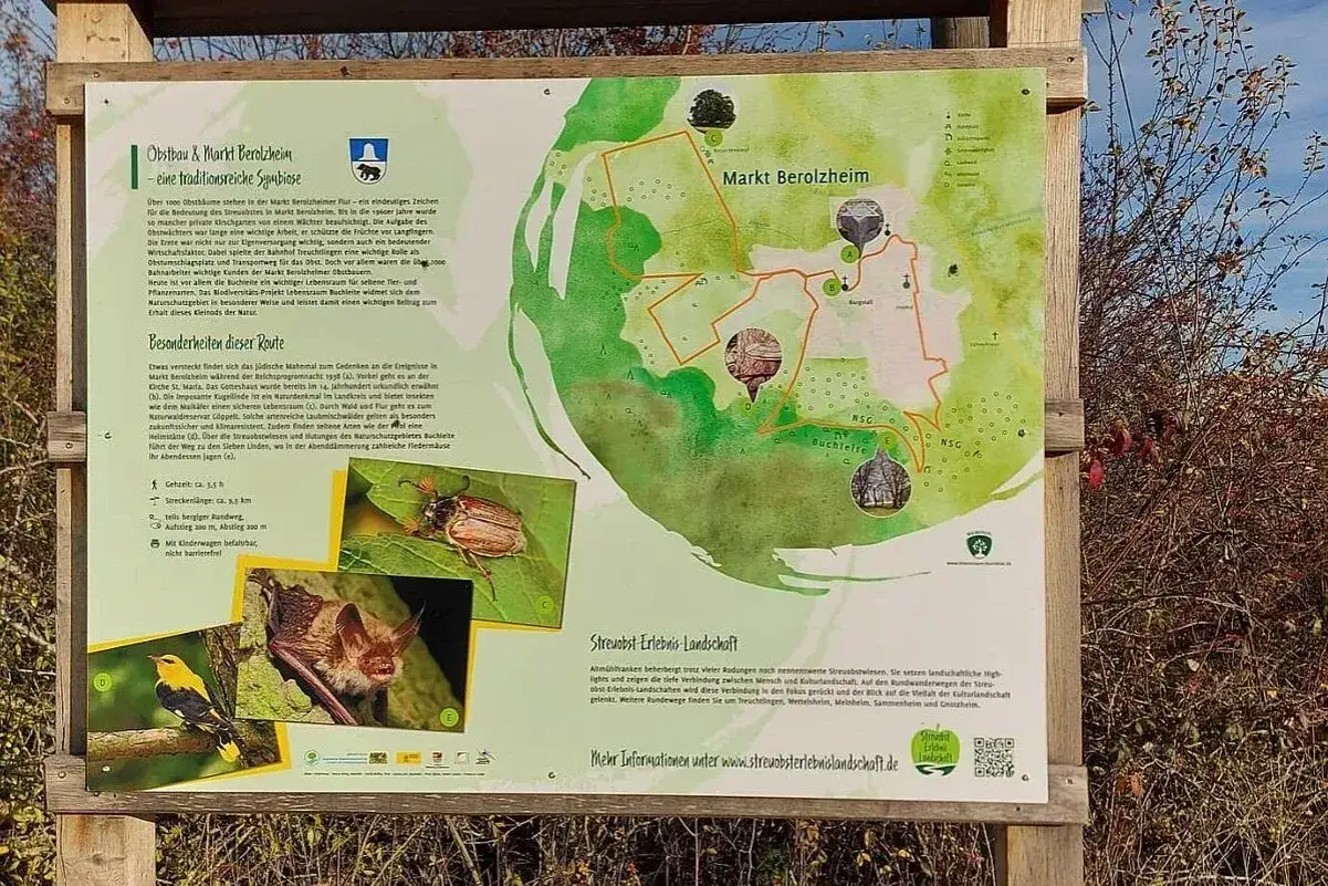 Infotafel zum Obstbau & Markt Berolzheim: Karte zeigt Route, Bilder von K&auml;fer, Fledermaus und Vogel. Streuobst-Erlebnis-Landschaft.