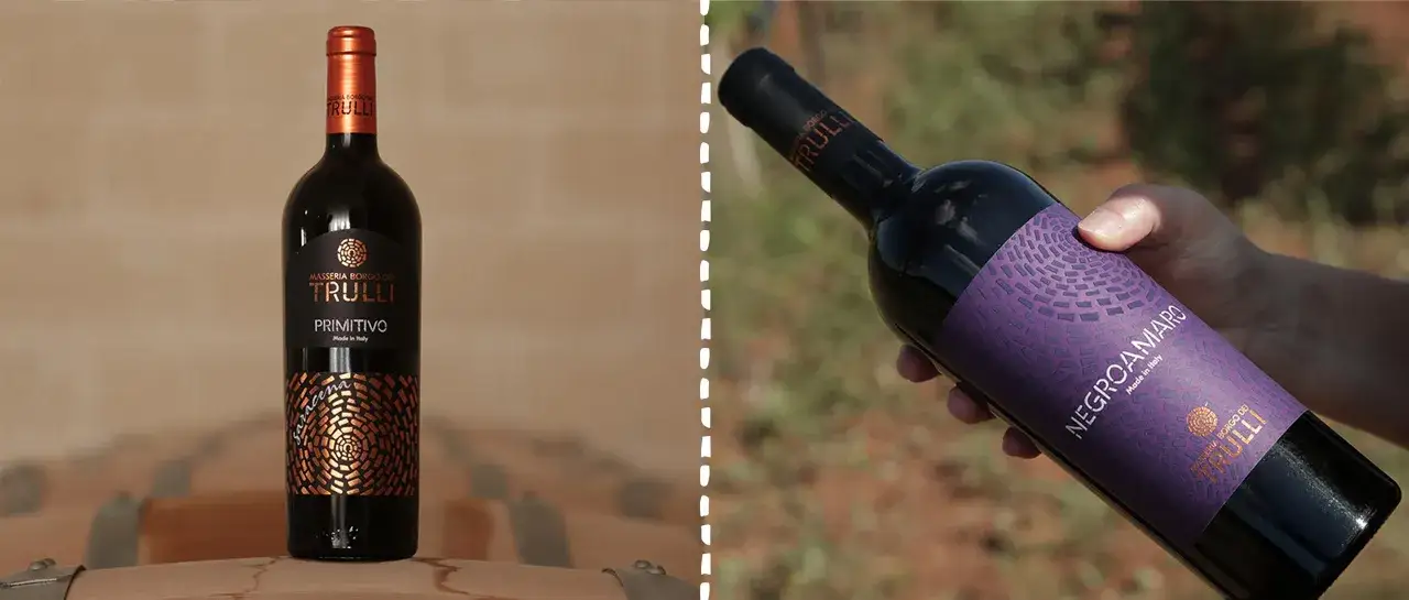 Bottiglie di vino Primitivo e Negroamaro, per scoprire la differenza tra questi vitigni pugliesi.