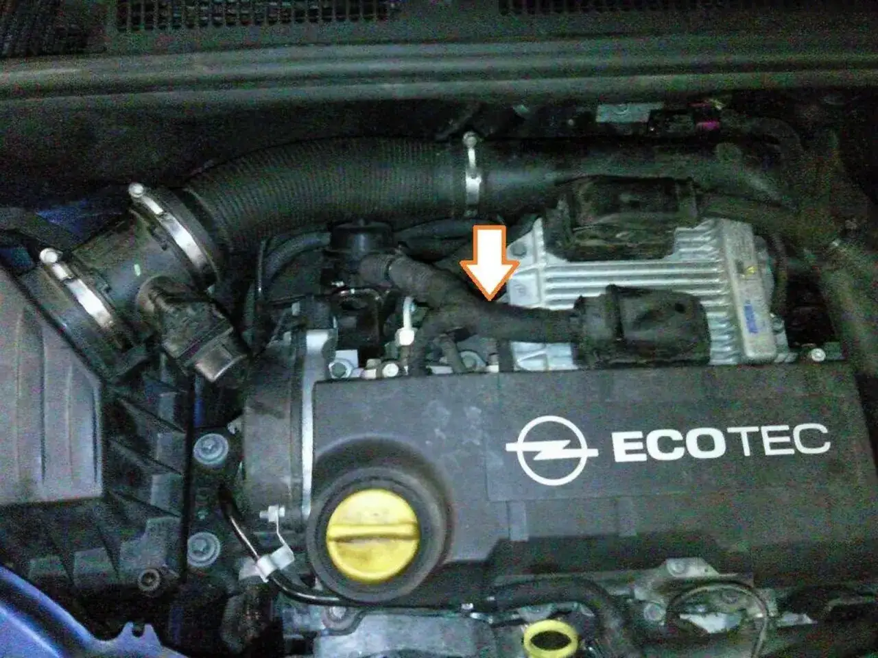 Motorraum eines Opel Meriva 2009. Ein Pfeil zeigt auf einen Schlauch.