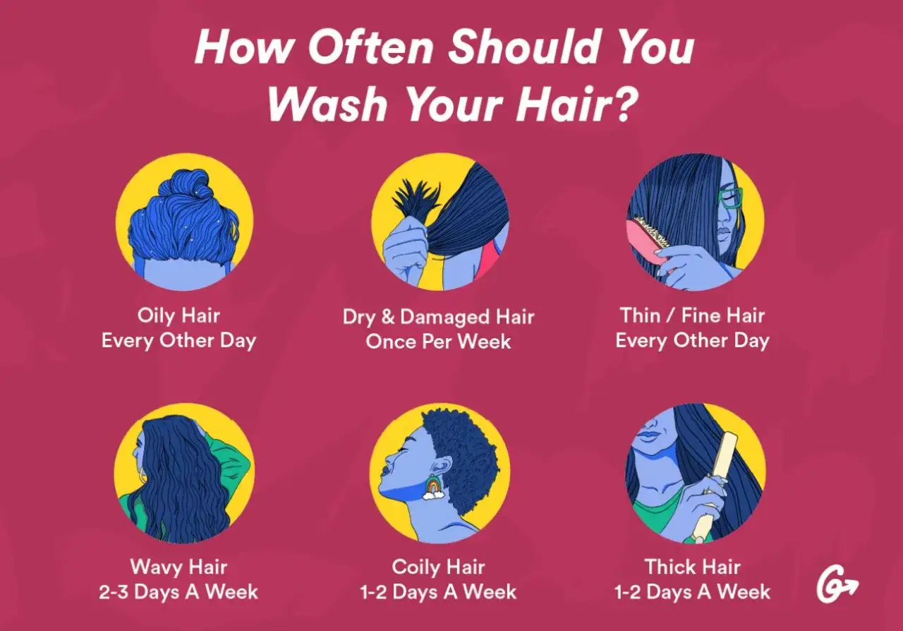 Gu&iacute;a visual sobre cada cuanto hay que lavarse el pelo seg&uacute;n su tipo: graso, seco, fino, ondulado, rizado o grueso.