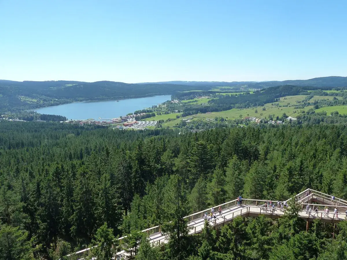 Spacer w koronach drzew w Czechach. Widok na jezioro i zielone wzgórza z drewnianej ścieżki.