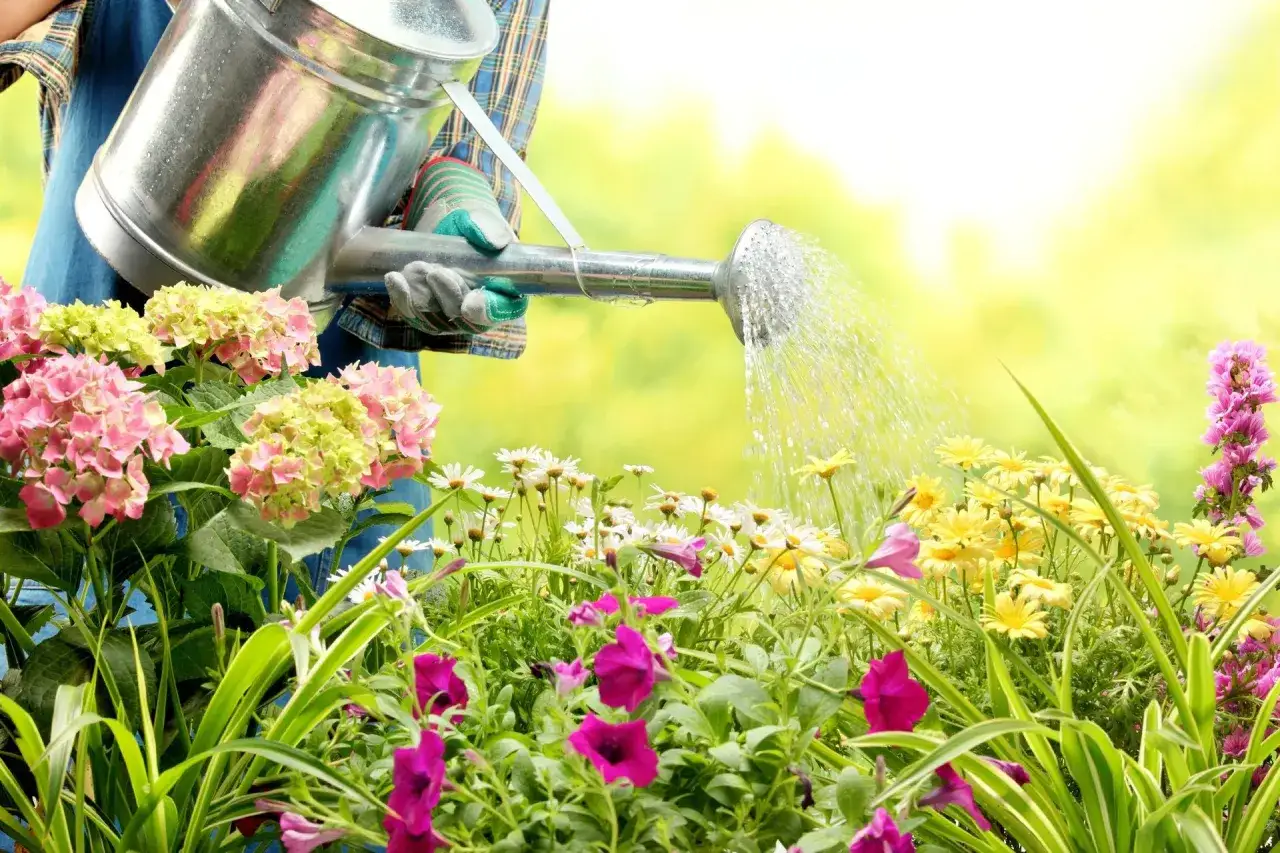 Persona riega flores coloridas con una regadera. Las plantas, como hortensias y petunias, lucen vibrantes, y la escena evoca el cuidado de un jard&iacute;n con plantas de hoja perenne.