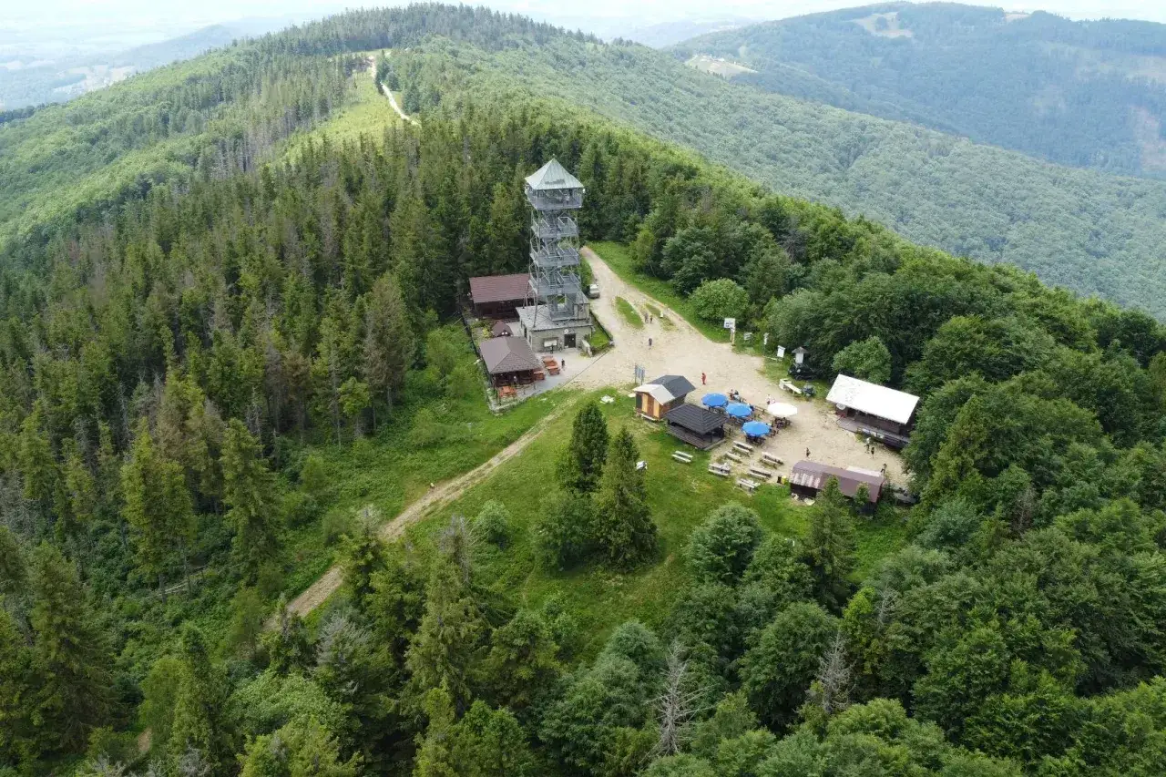 Wieża widokowa na Wielkiej Czantorii góruje nad lasem. Wokół schroniska i stoliki z parasolami.