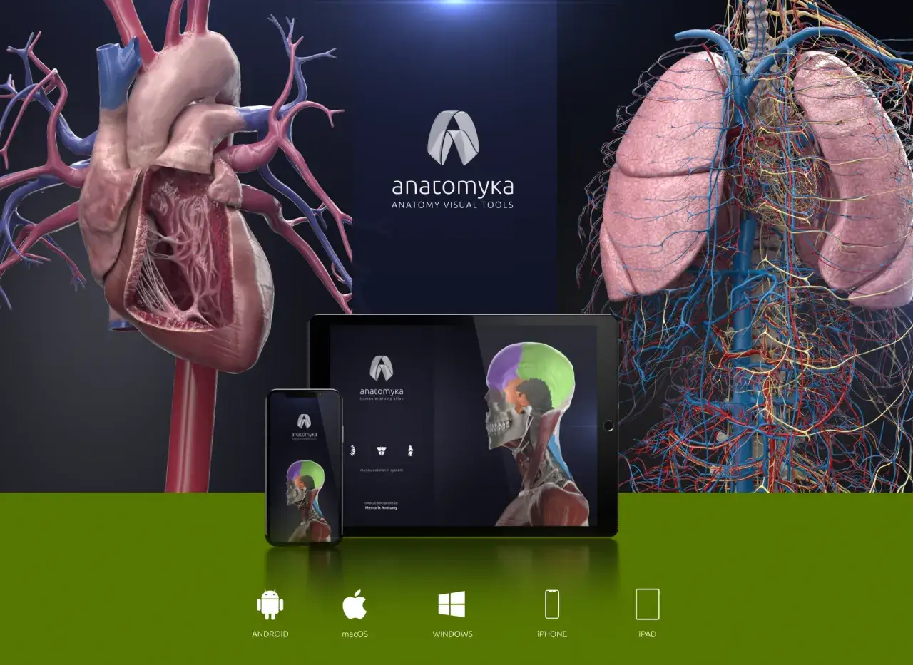 aplikacja anatomia 3D