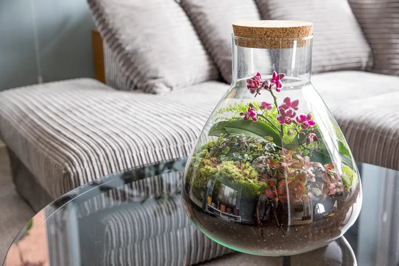 Terrarium avec orchid&eacute;es et foug&egrave;res, une belle plante d'int&eacute;rieur et d'ext&eacute;rieur, sur une table en verre devant un canap&eacute;.