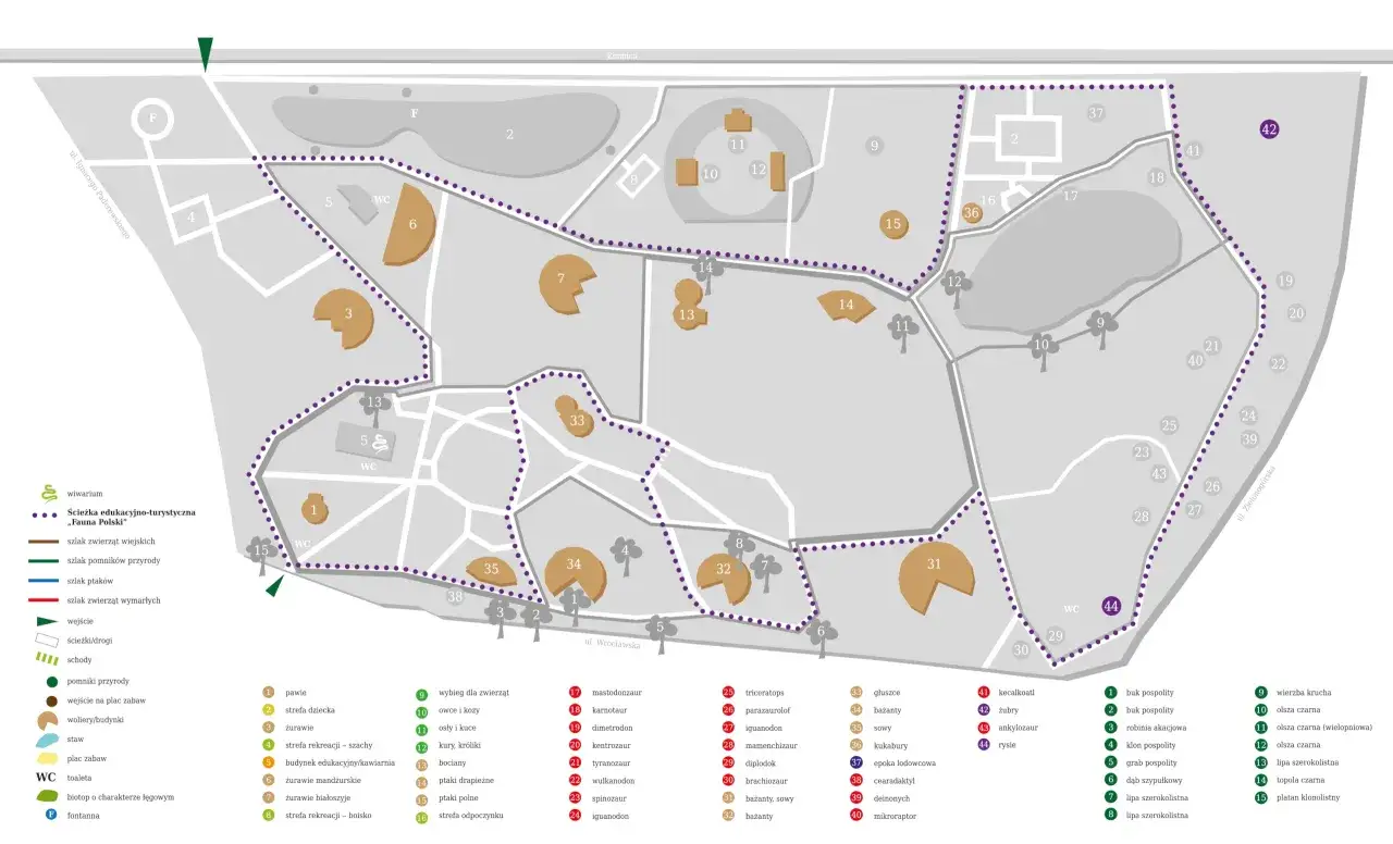 Mapa zoo z zaznaczonymi ścieżkami i atrakcjami. Ile jest zoo w Polsce? Ta mapa pokazuje jedno z nich, z dinozaurami i zwierzętami.