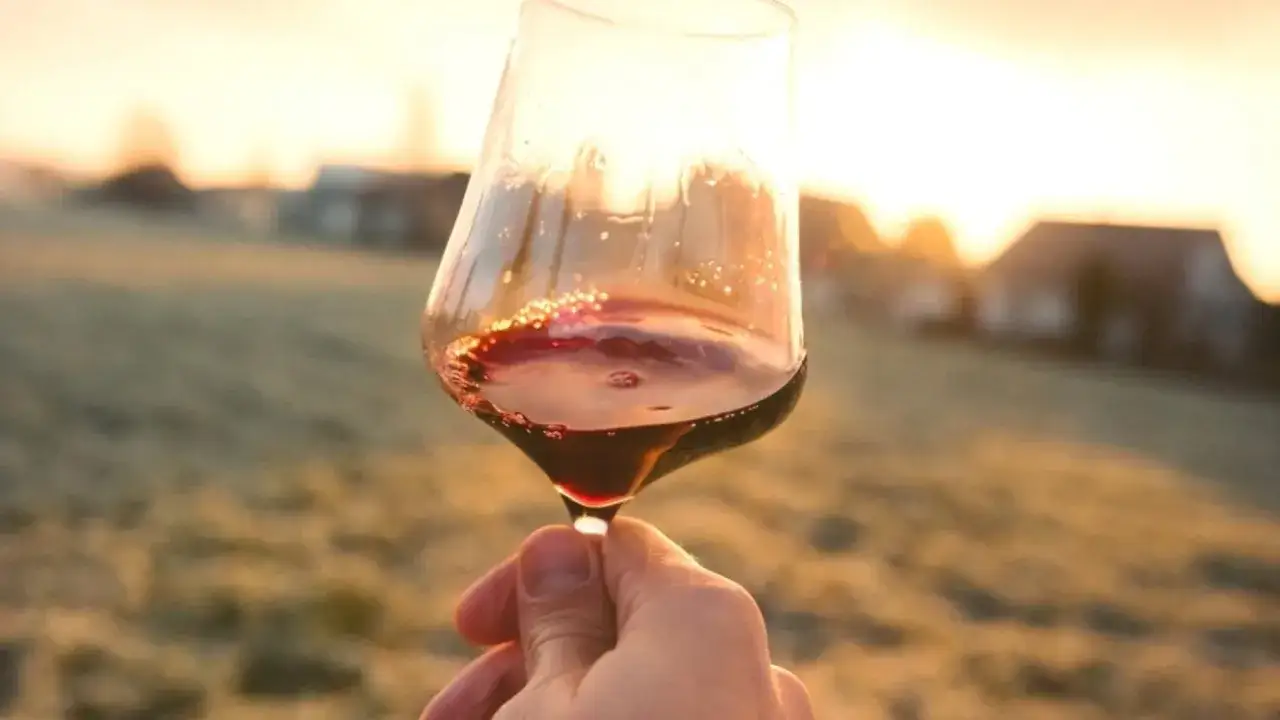 Un calice di vino rosso al tramonto, con la glicerina che forma archetti visibili. Un momento di contemplazione con un tocco di dolcezza.