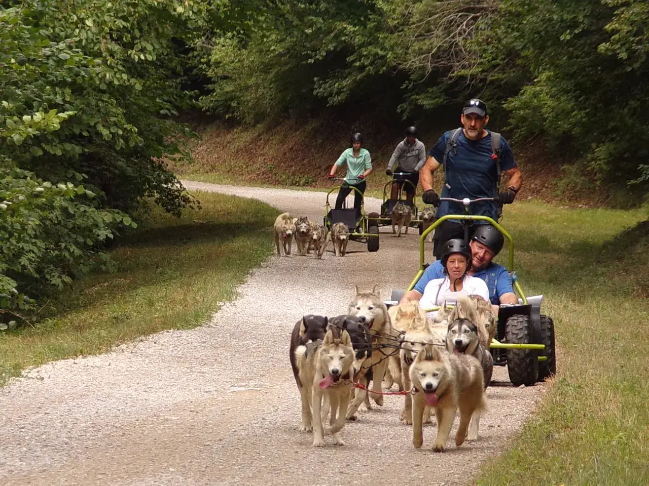 Un groupe de chiens de traîneau tire un attelage pour chien sur un chemin de gravier bordé d'arbres.