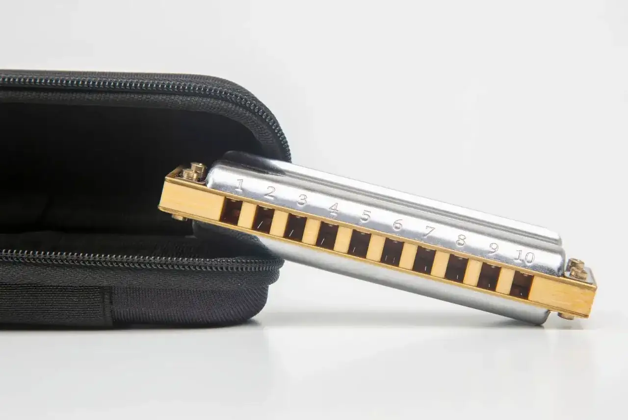 Srebrna harmonijka ustna z numerowanymi otworami, obok czarnego etui. R&oacute;żne harmonijka ustna rodzaje są dostępne.