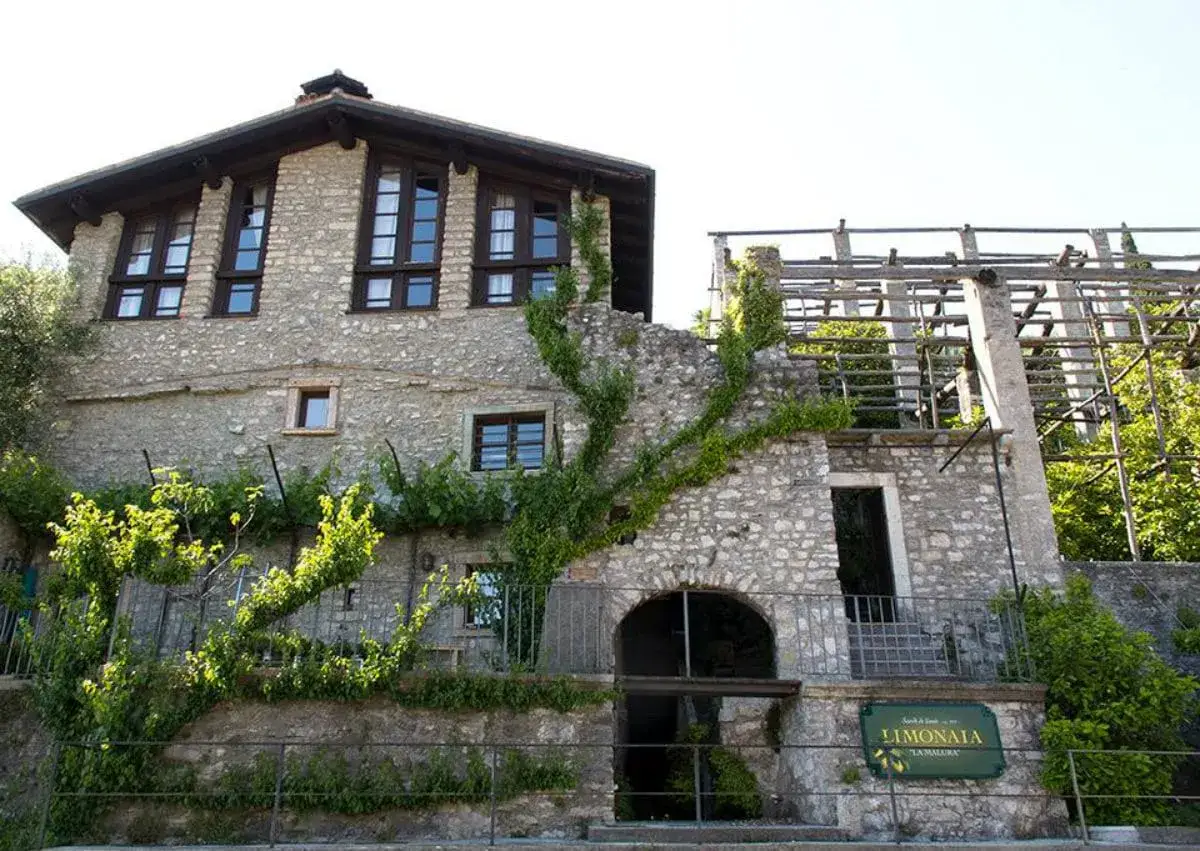 La limonaia 