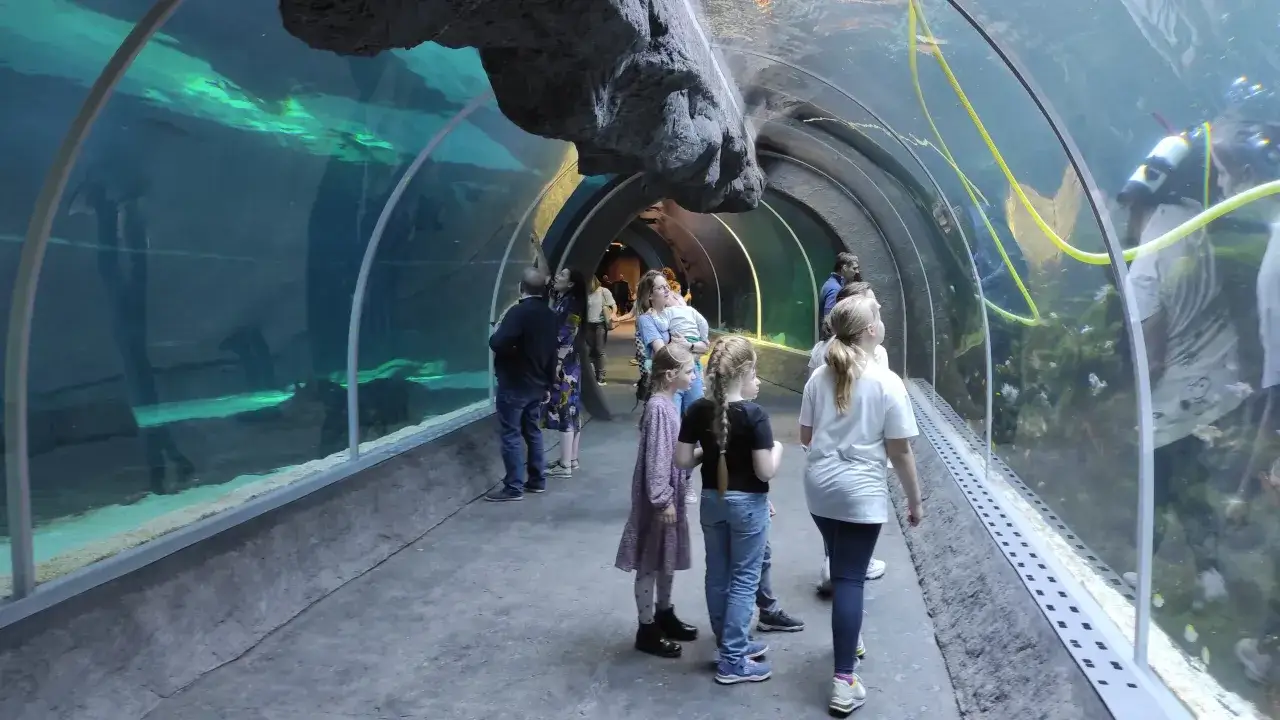 Orientarium ZOO Łódź wejście