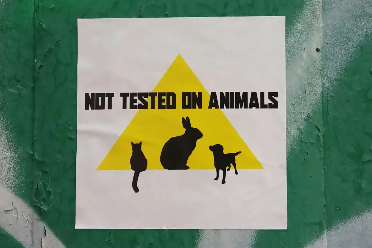 kosmetyki wegańskie a cruelty-free r&oacute;żnice
