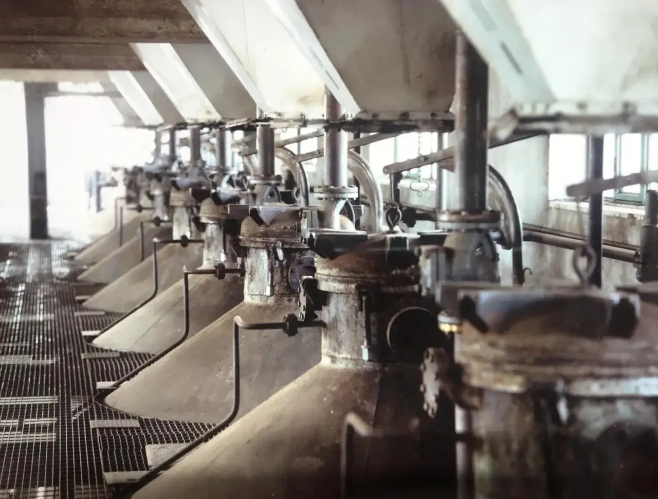 Macchinari industriali in fila, forse per la produzione di olio di sansa.