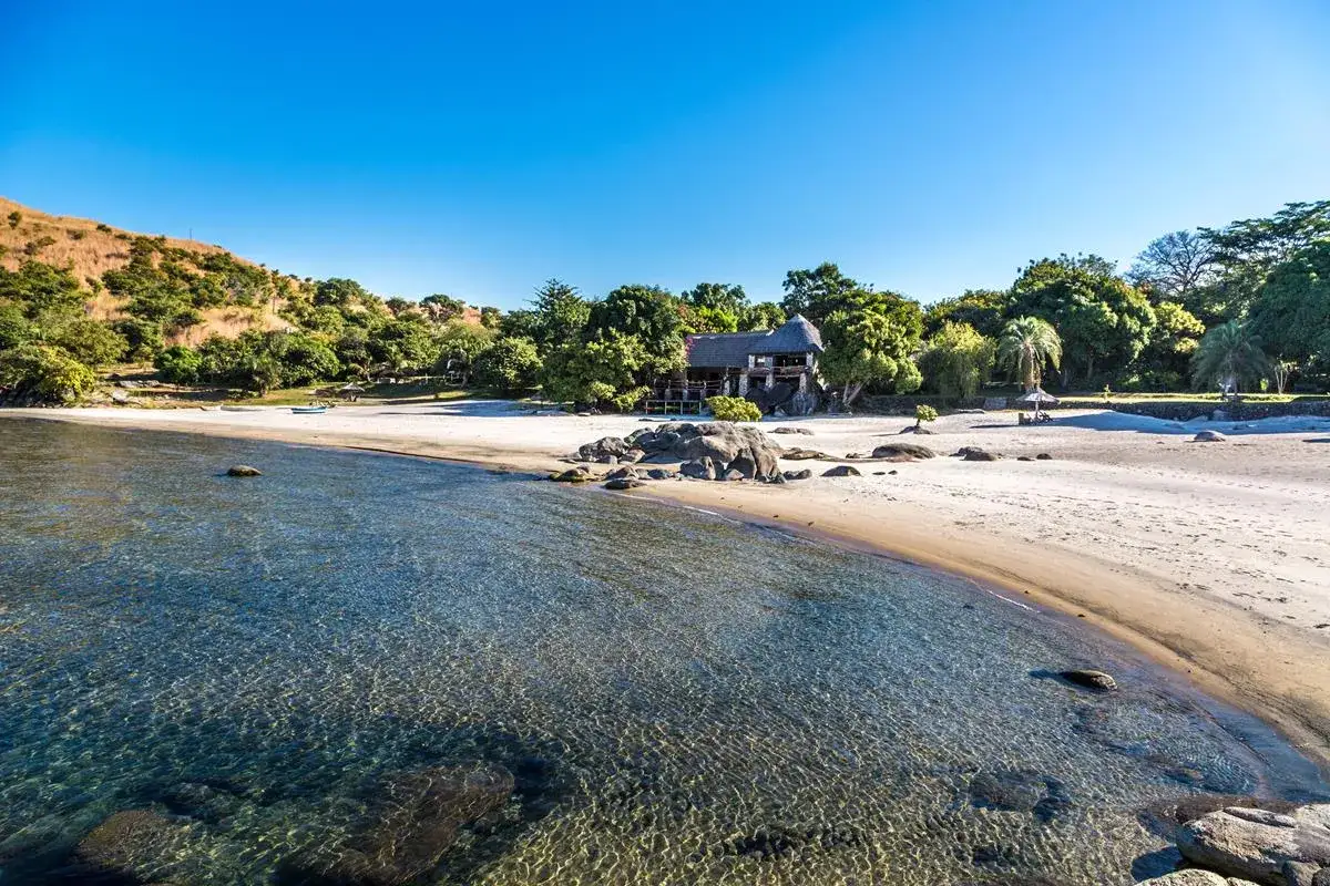 Malawi Afryka: spokojna plaża nad krystalicznie czystym jeziorem, z kamieniami i bujną zielenią.