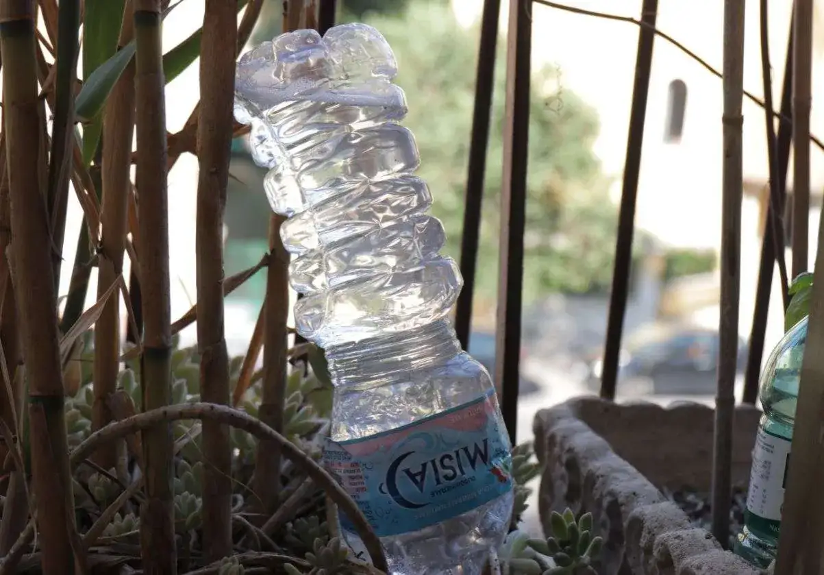 Una bottiglia d'acqua usata, piegata e infilata tra le canne, mostra un modo ingegnoso per capire come innaffiare le piante in vacanza, rilasciando lentamente l'acqua.
