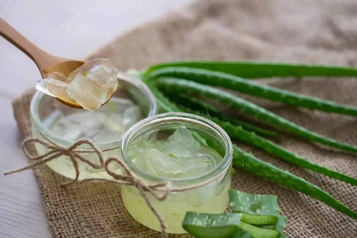Gel fresco di aloe vera pronto per essere applicato sulla pelle. Un cucchiaio mostra la polpa traslucida, mentre due vasetti legati con spago contengono il gel. Foglie di aloe vera fresche completano la scena.