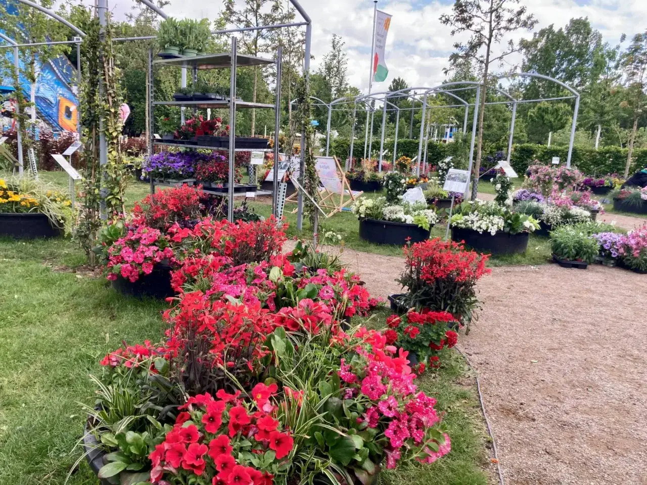 Bunte Blumenpracht auf der Landesgartenschau NRW. Eine Liste der Pflanzen wäre hier toll!