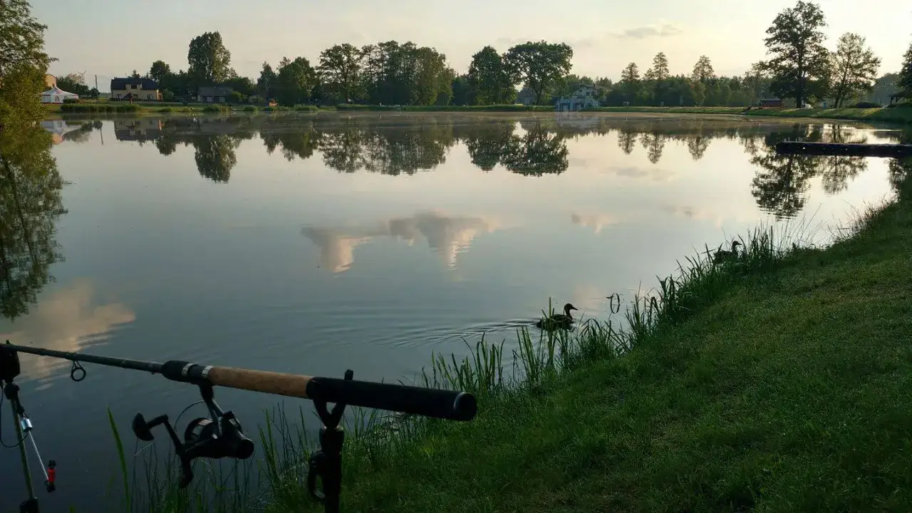 Wędka czeka na brzegiem jeziora, gdzie kaczki pływają, a woda odbija drzewa. Może dziś uda się złowić ryby.