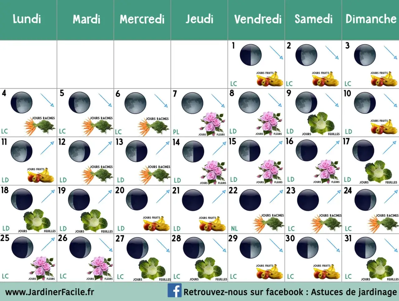 Calendrier lunaire jardin : phases de la lune et indications pour semer fruits, légumes ou fleurs.