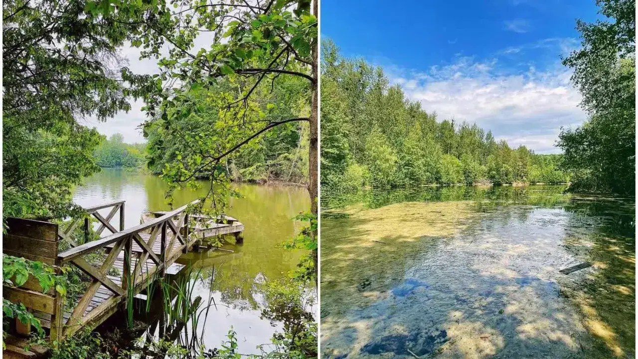 Idyllische Seenlandschaft mit Holzsteg, ein sch&ouml;nes Beispiel f&uuml;r Bergisch Gladbach Sehensw&uuml;rdigkeiten.
