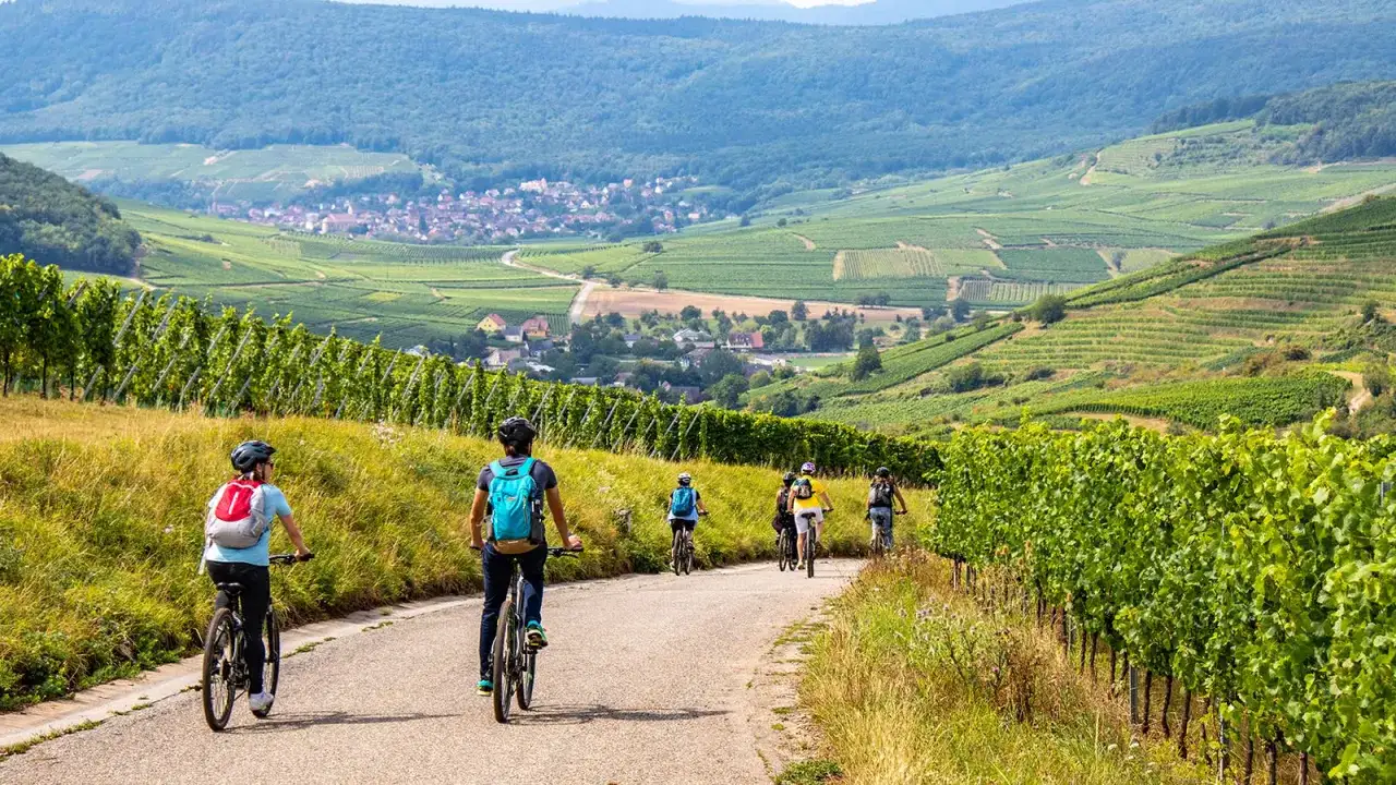 Cykeltur genom vinodlingar i Alsace, Frankrike, med en by i bakgrunden. Kanske en paus vid Gustave Lorentz ving&aring;rd.