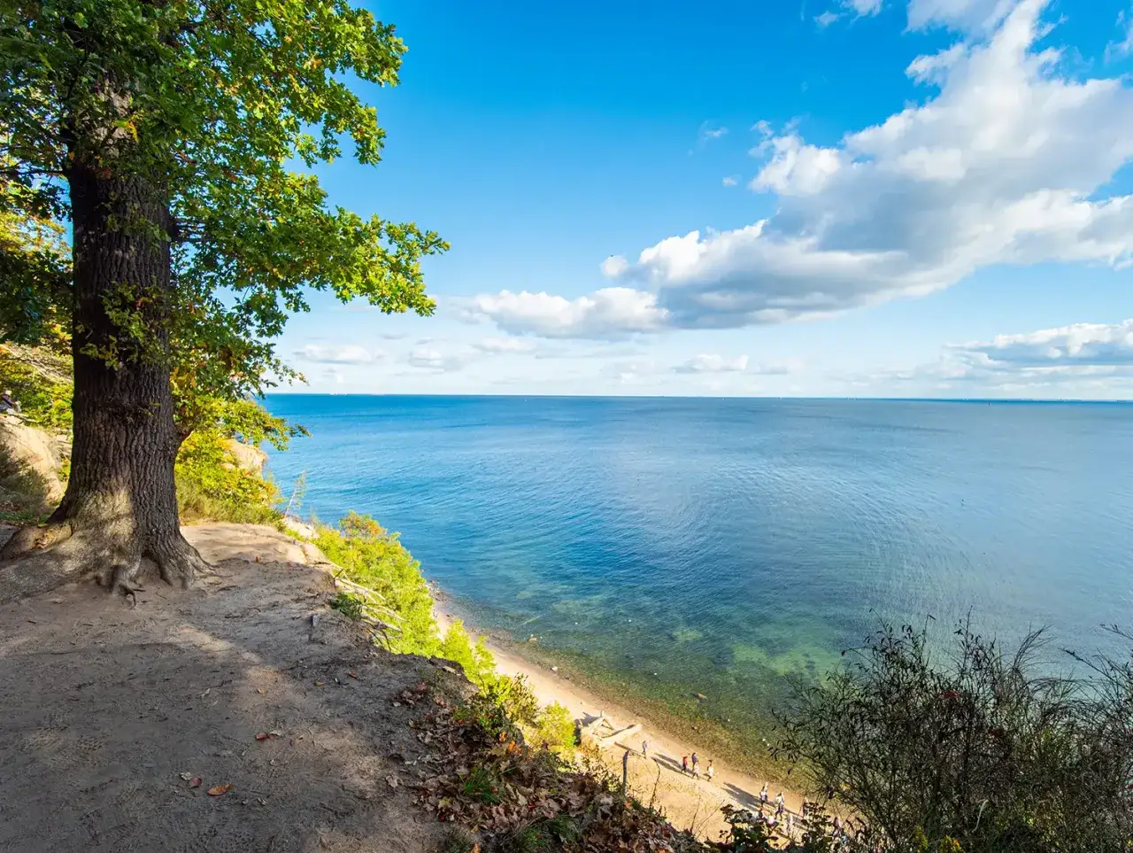 Widok na morze z klifu w Trójmieście. Spacerowicze na plaży pod drzewem, idealne miejsce na wycieczkę po Gdańsku, Gdyni i Sopocie.