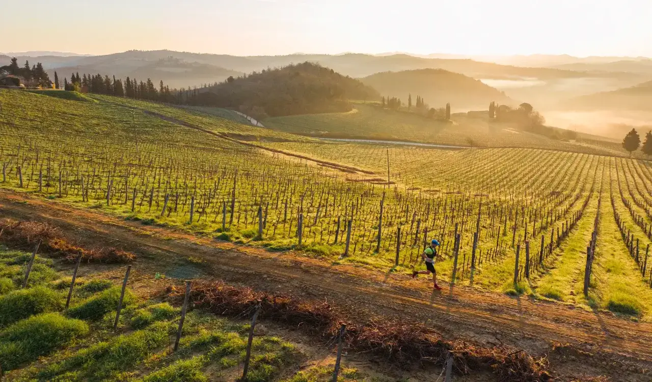 Un coureur traverse un vignoble au lever du soleil, dans le cadre d'une course de type Chianti by UTMB. Les collines toscanes brumeuses en arrière-plan ajoutent à la beauté du paysage.