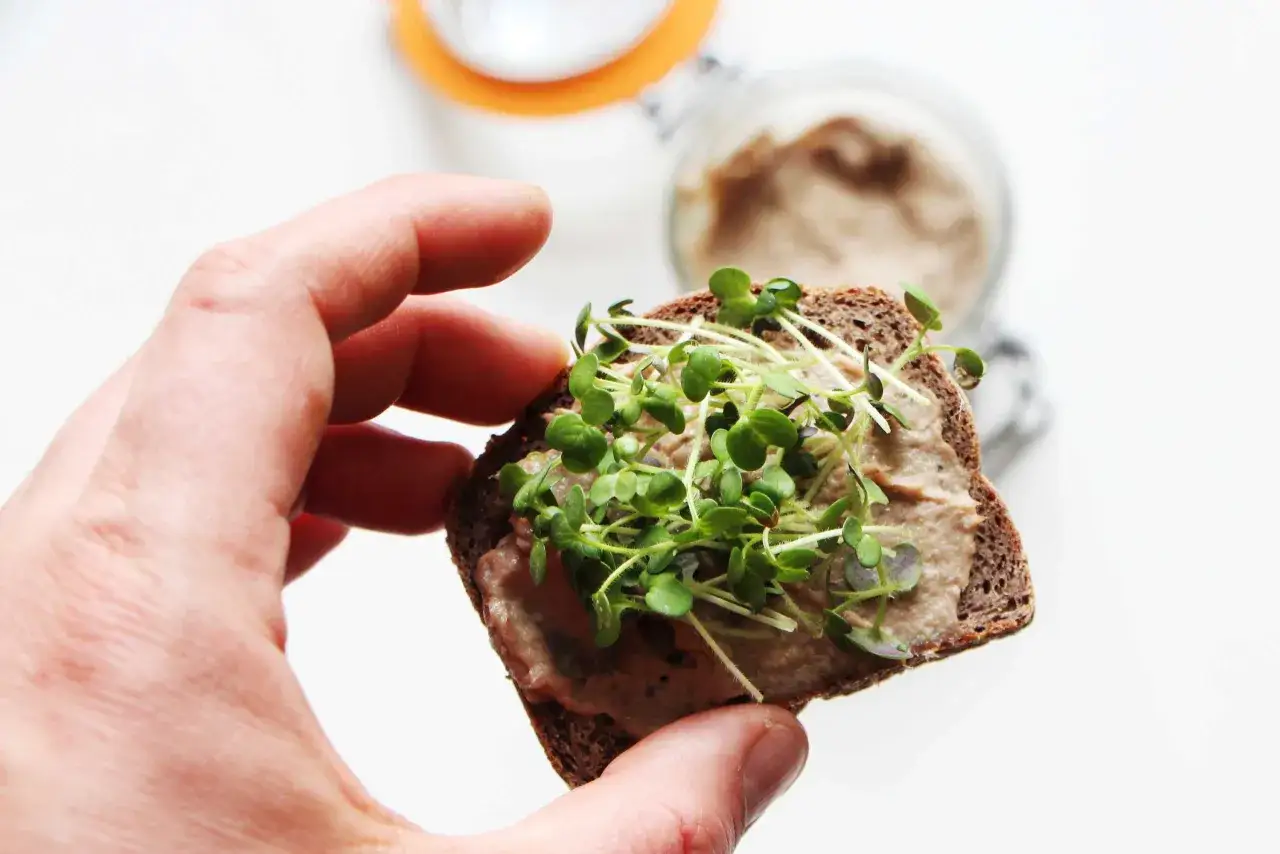 Une main tient une tranche de pain de seigle garnie de rillettes de sardines et de jeunes pousses.