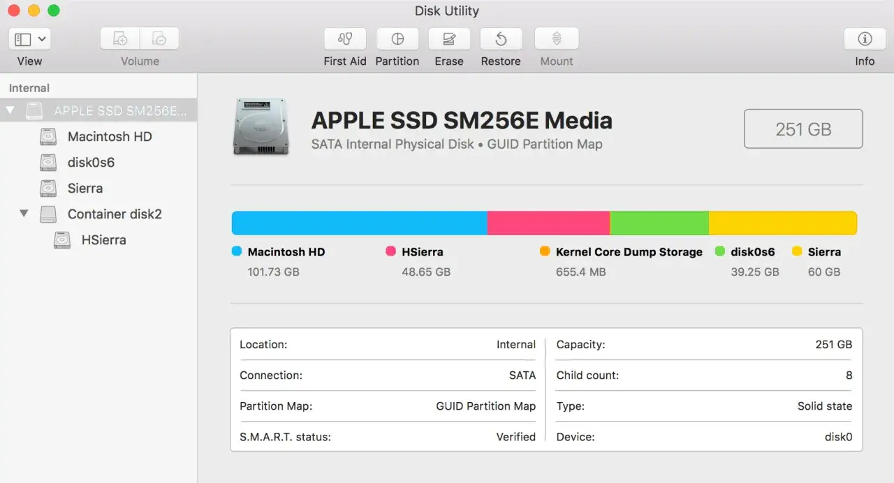 Festplattendienstprogramm zeigt eine GUID Partitionstabelle auf einem Mac. Die SSD ist in mehrere Partitionen unterteilt.