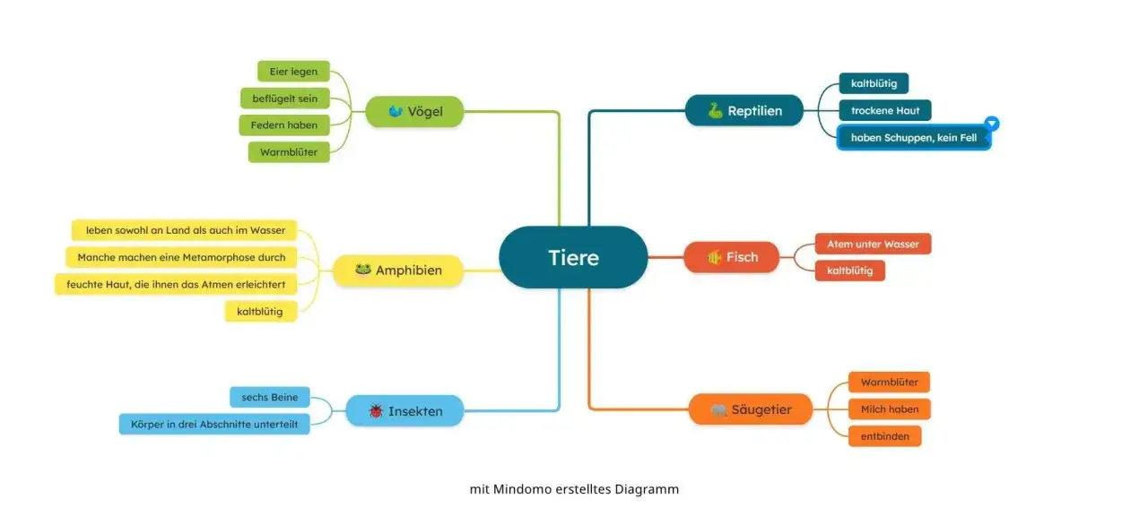 Mindmap zur Tierkunde: Vögel, Reptilien, Amphibien, Fische, Insekten und Säugetiere. Eine effektive Lernmethode zur Übersicht.