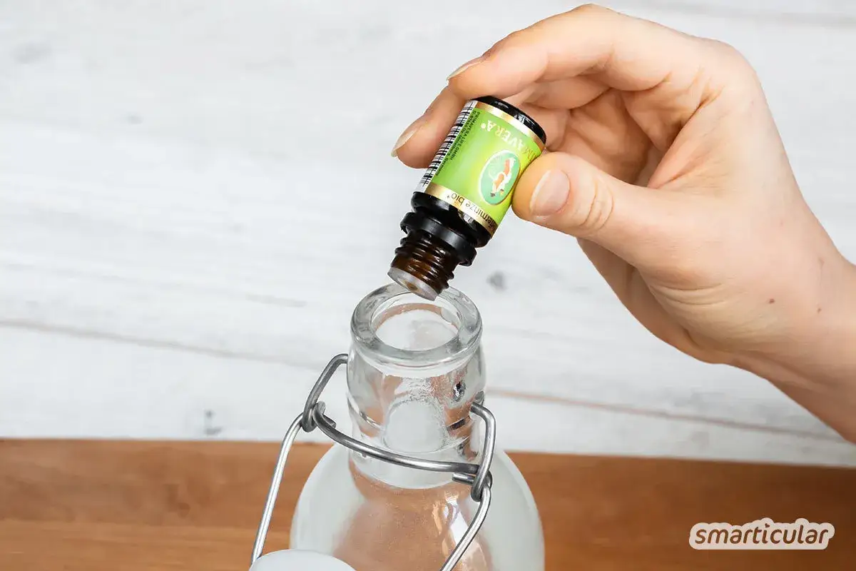 Eine Hand tropft ätherisches Öl in eine Glasflasche, um Mundwasser selber machen.