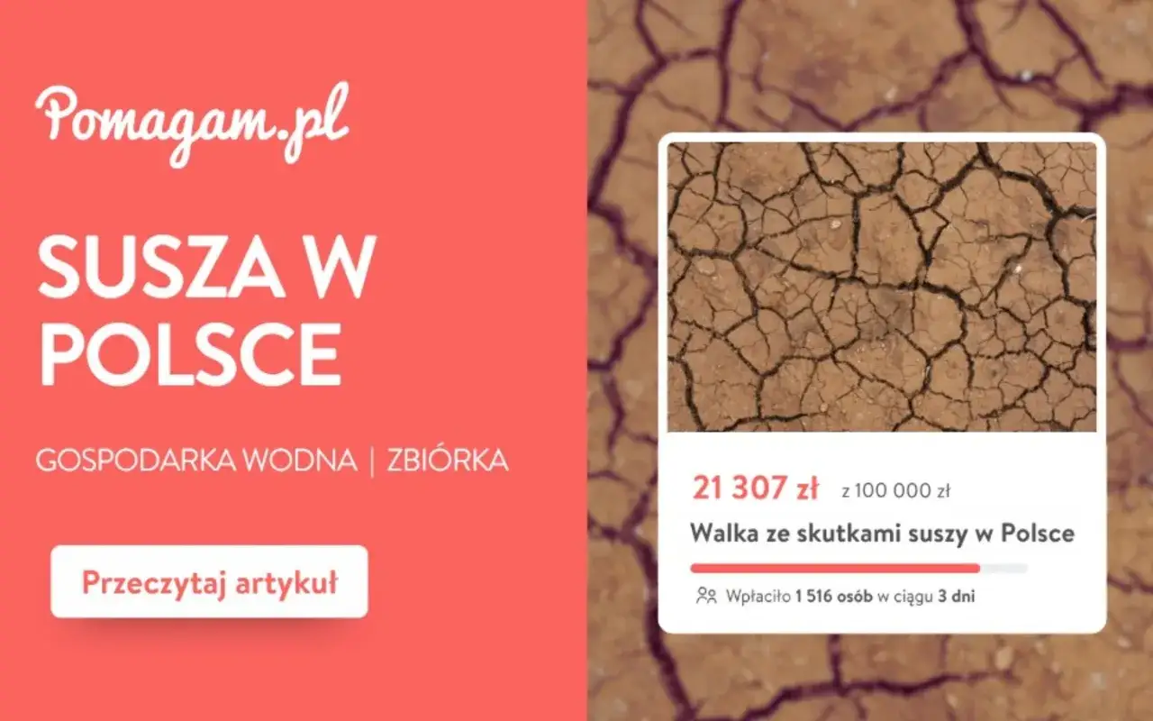 Susza w Polsce to realny problem, którego skutki odczuwamy coraz mocniej. Zbiórka na Pomagam.pl walczy z tymi zmianami klimatycznymi.