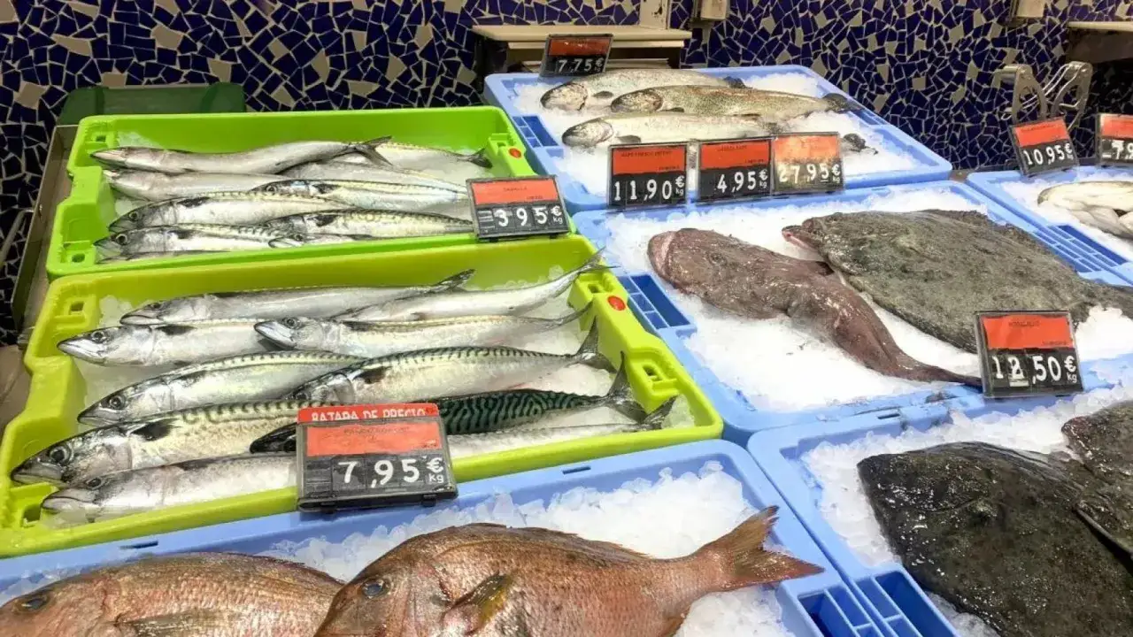 Pescado fresco en hielo: la caballa es pescado azul, junto a lenguados y otros peces.