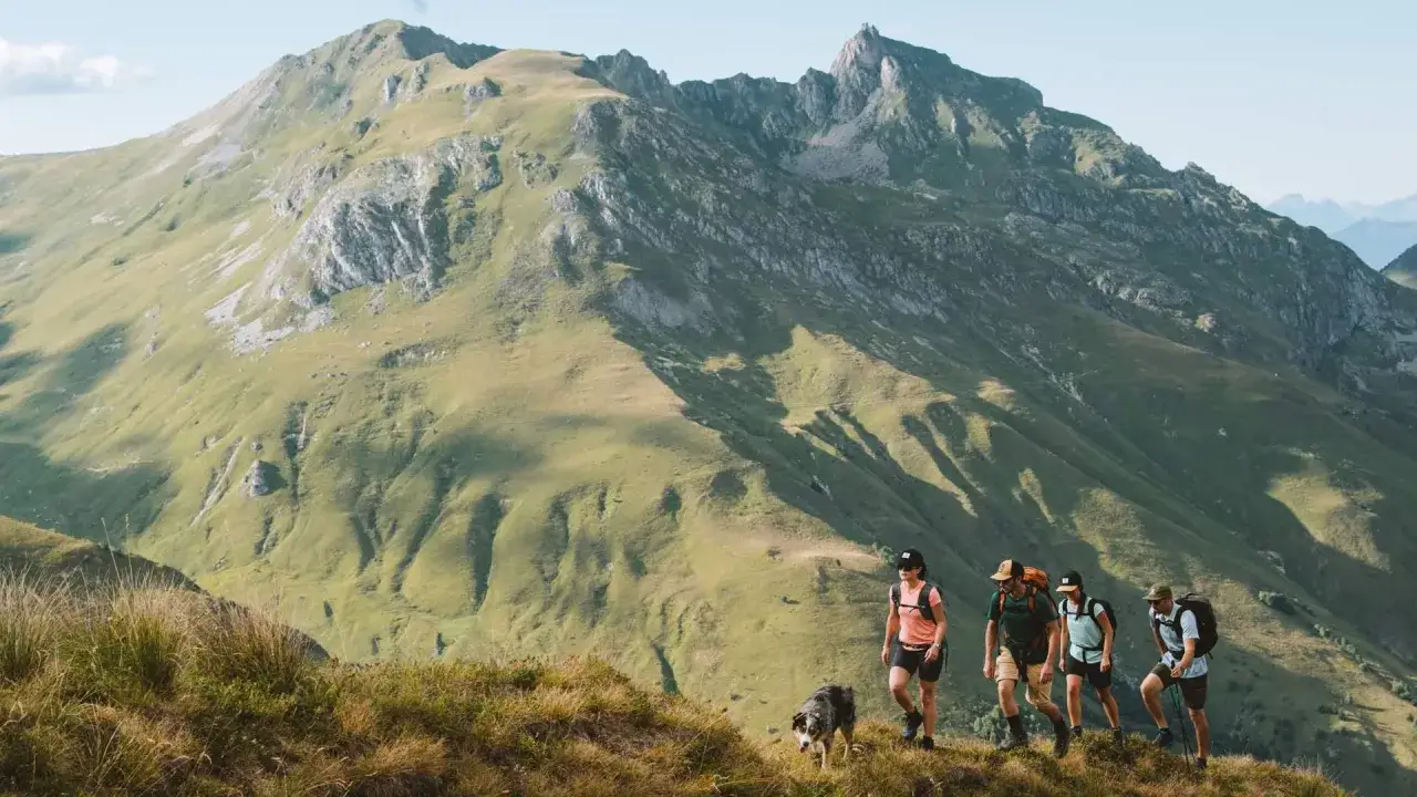 Quatre randonneurs et un chien traversent une montagne verdoyante, profitant d'une randonnée de 3 jours sous un ciel bleu.