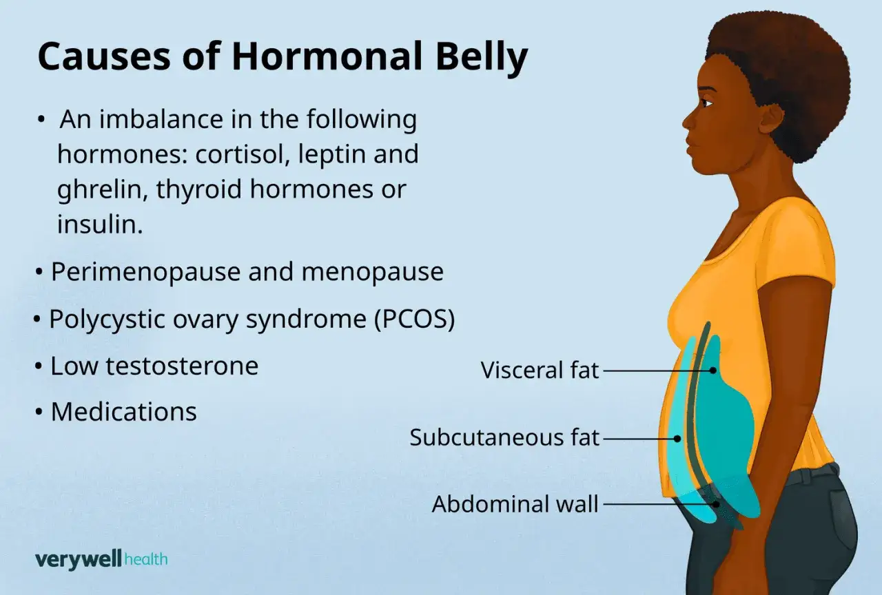 Illustration zeigt Ursachen f&uuml;r hormonellen Bauch, wie Ungleichgewicht von Hormonen, PCOS und Menopause. Fettansammlung im Bauchbereich wird dargestellt.