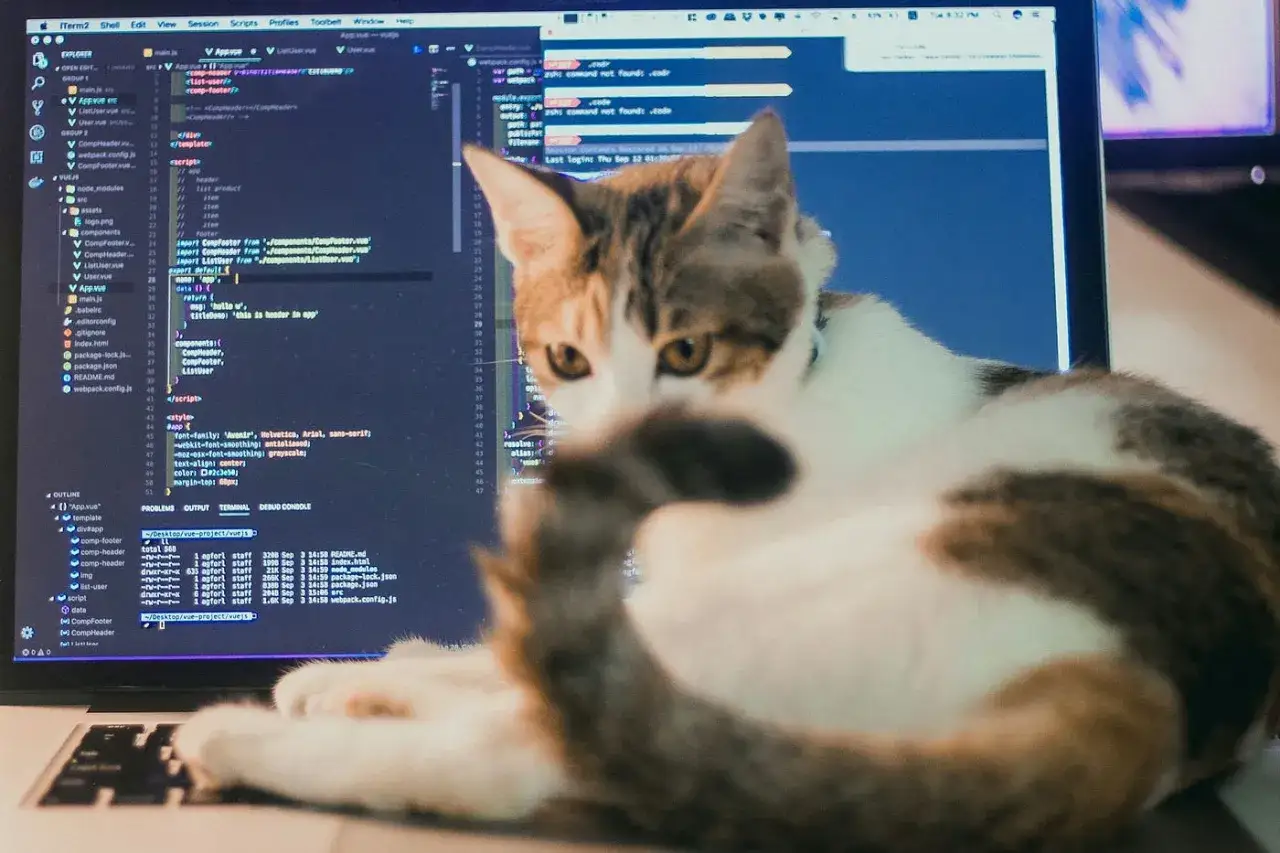 Un chat tigr&eacute; observe un &eacute;cran d'ordinateur affichant du code **Java** et des lignes de commande.
