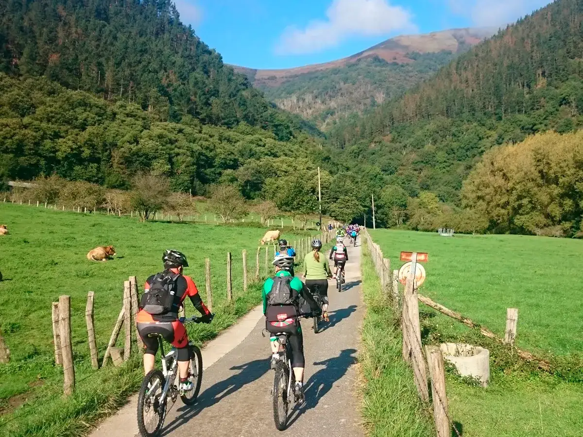 Ciclistas disfrutan de un paseo por la v&iacute;a verde Bidasoa, rodeados de prados verdes y monta&ntilde;as boscosas.