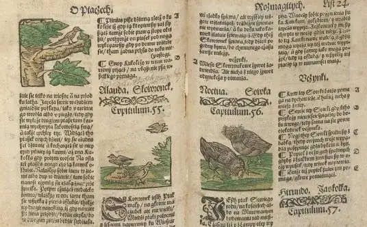 aktywne czytanie notatki na marginesach