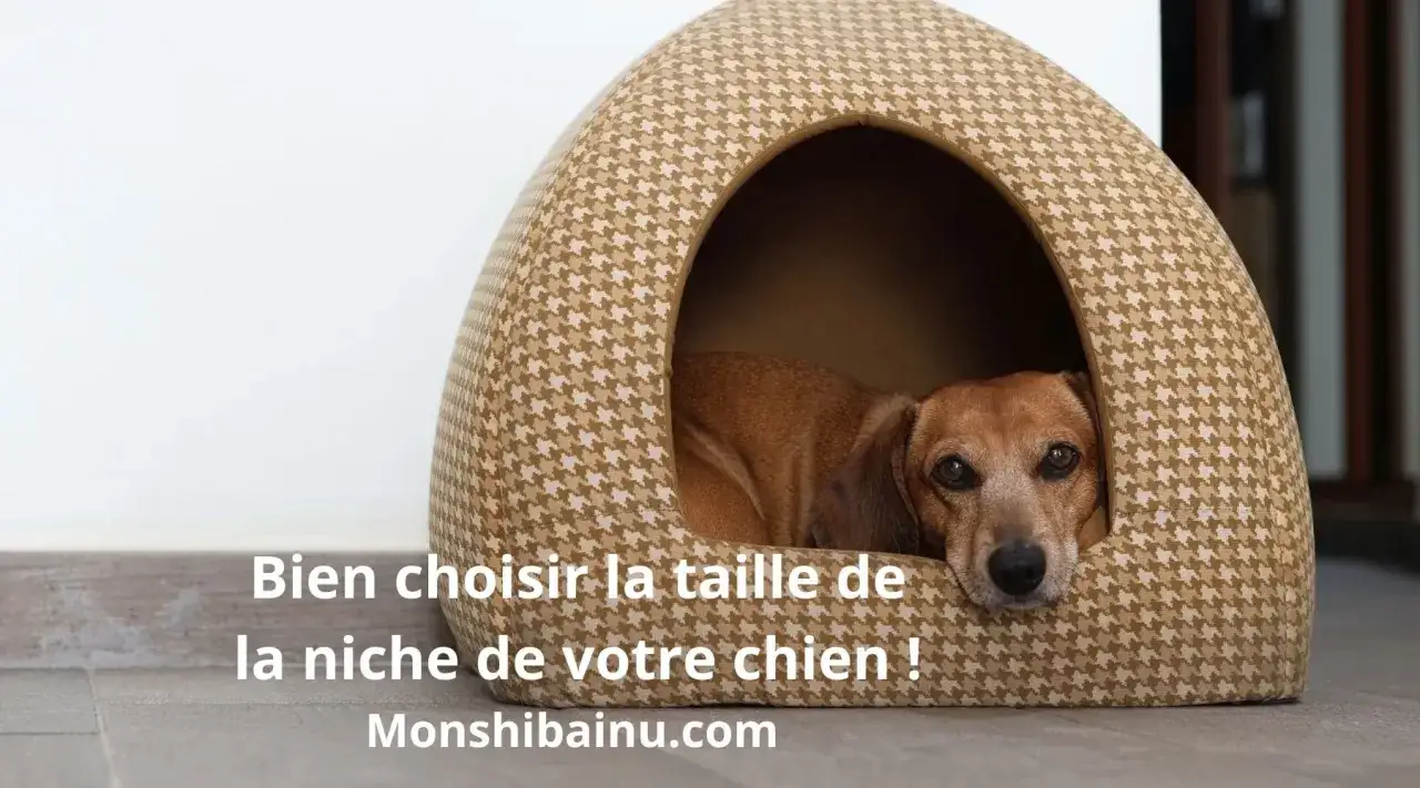 Un chien brun se repose dans une niche confortable. Bien choisir la dimension niche chien est essentiel pour son bien-&ecirc;tre.