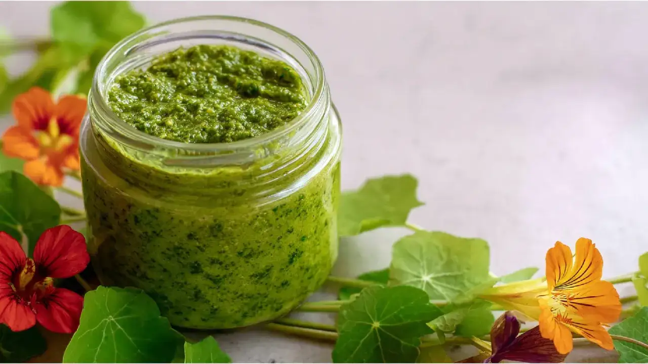 Ein Glas leuchtend grünes Kapuzinerkresse-Pesto, umgeben von bunten Blüten und Blättern der Pflanze.