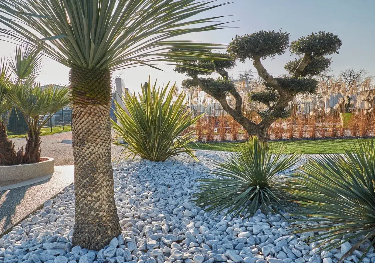 Jardin moderne avec un massif de galets blancs, palmiers et arbustes taillés. Une belle idée déco massif avec galets pour un extérieur épuré.