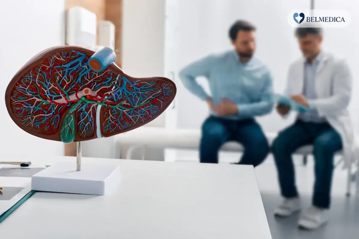Model wątroby na stole, obok pacjent i lekarz. Specjalista hepatolog omawia wyniki badań.