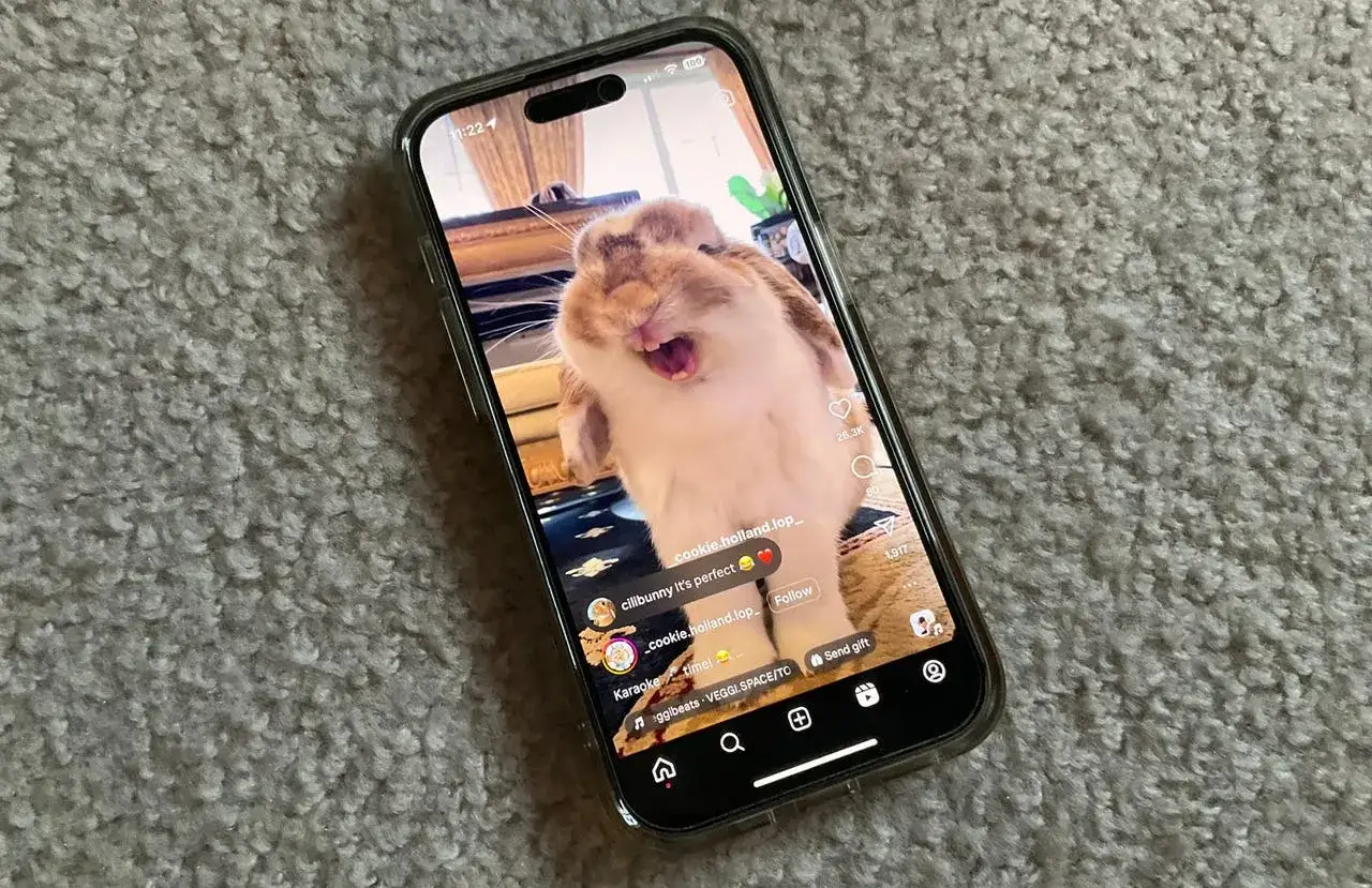 En mobiltelefon visar en söt kanin som gäspar. Detta är ett exempel på vad som kan betyda reels – korta, engagerande videoklipp.
